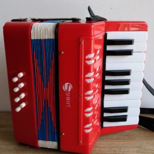 Sanfona Acordeon Infantil Child Prodigy #109826